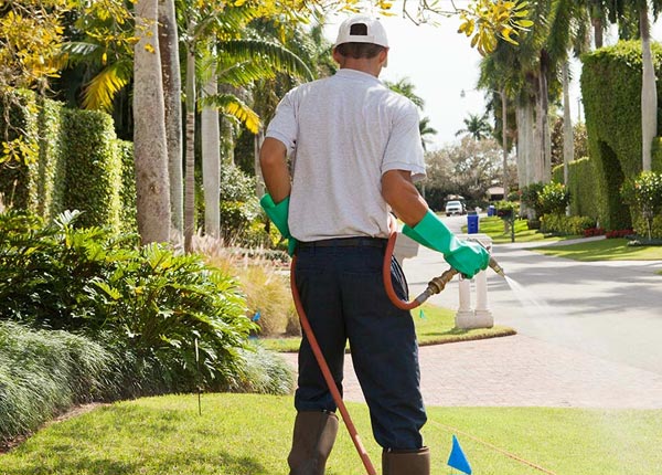 About Chana IL Pest Control